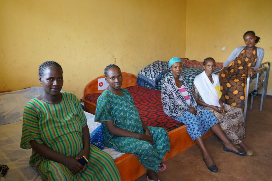 Help Build AI-Powered Pregnancy Risk Detection