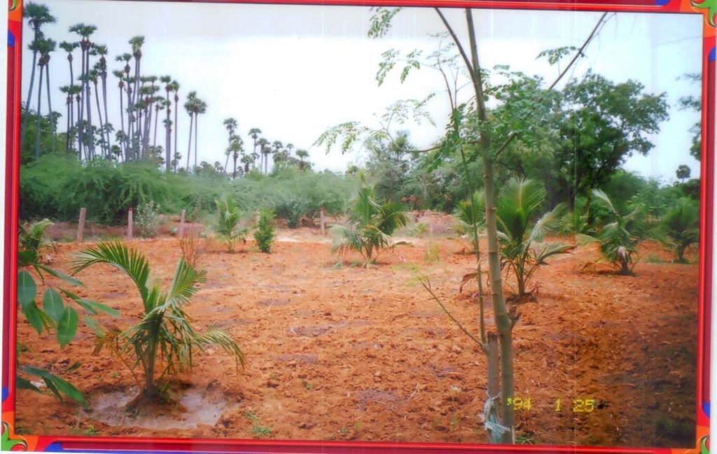 Climate Change Awareness to Farmers and Plantation