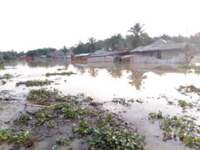 Recent new flooding in Kindu City in DRC