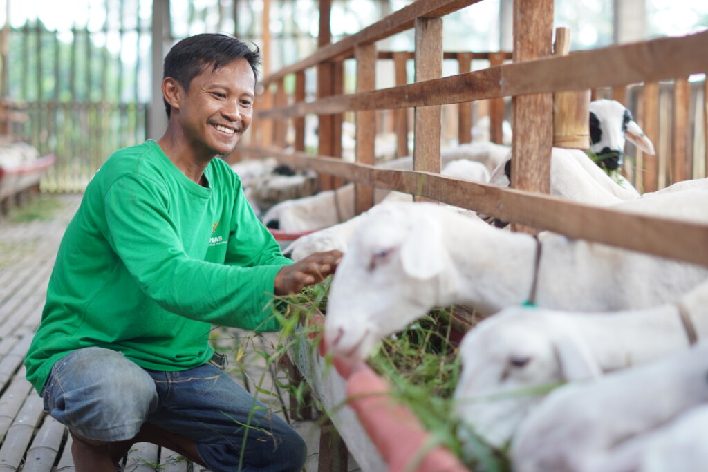 Qurbani/Udhiyya for 500 poor Families in Indonesia