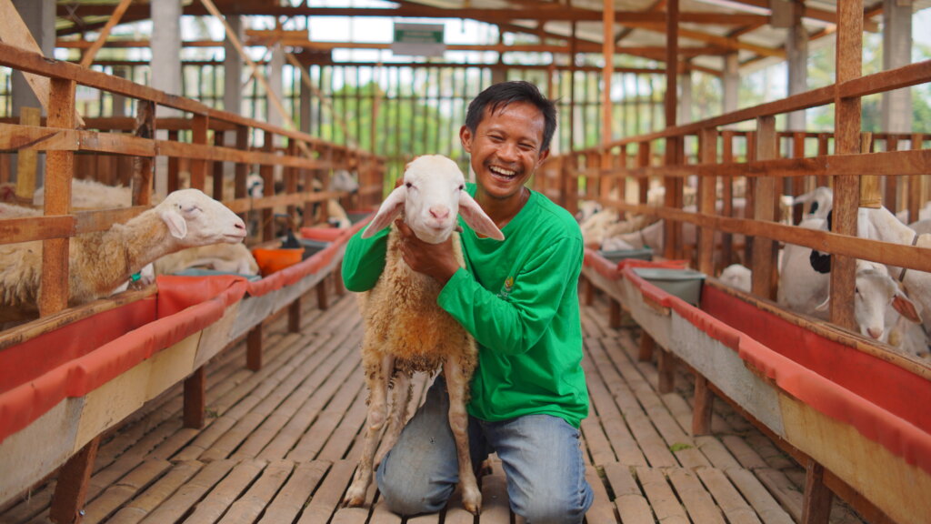 Qurbani/Udhiyya for 500 poor Families in Indonesia
