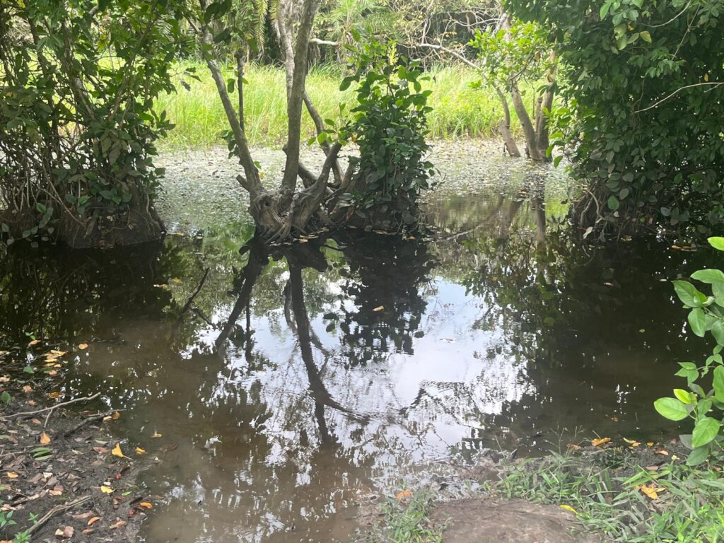 Bring Clean Water to 1,000 Lives in Rural Ghana