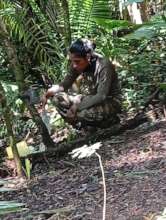 Rangers assisting with camera traps