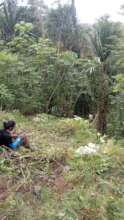 Rangers working on boundary lines