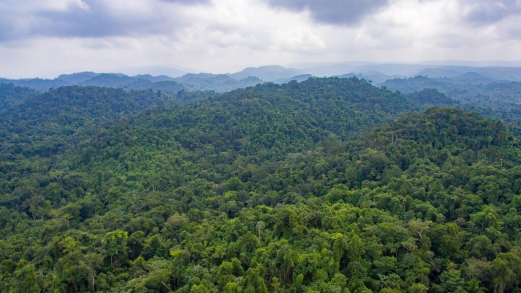 Saving Tapir Mountain: For Nature & Communities