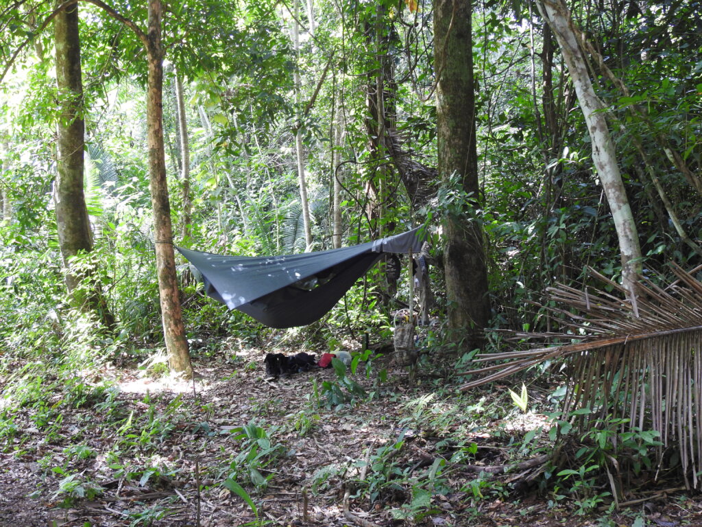 Saving Tapir Mountain: For Nature & Communities