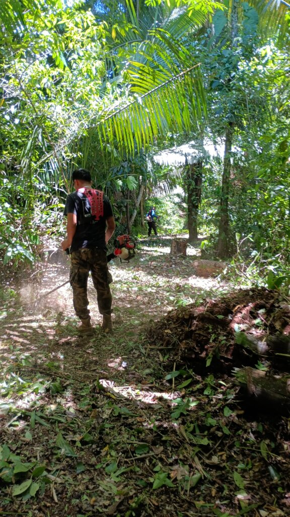 Saving Tapir Mountain: For Nature & Communities
