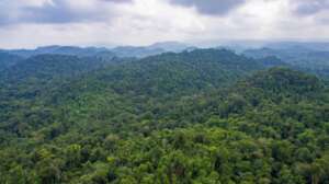 Tapir Mountain Nature Reserve