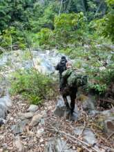 Rangers on patrol