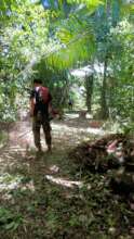 Rangers maintaining boundary lines clear