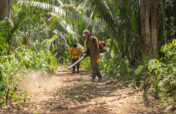 Saving Tapir Mountain: For Nature & Communities