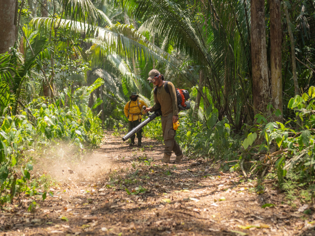 Saving Tapir Mountain: For Nature & Communities