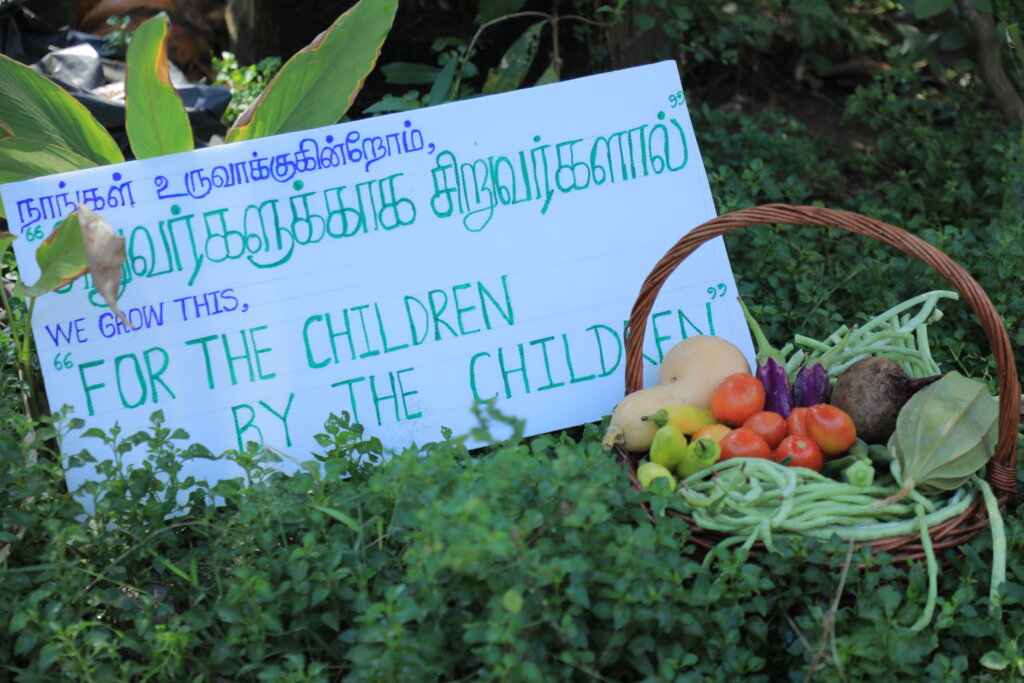 Feed Kids in Sri Lanka; Teach 15,000 to Grow Food