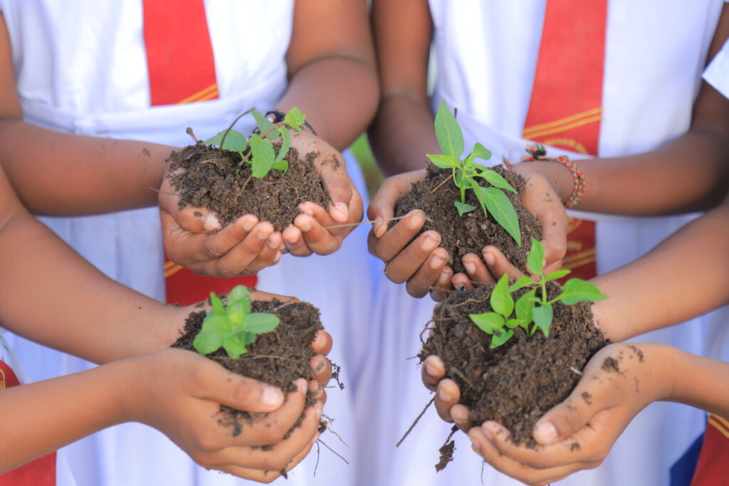 Feed Kids in Sri Lanka; Teach 15,000 to Grow Food