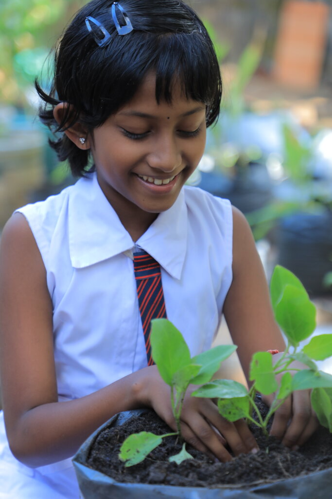 Feed Kids in Sri Lanka; Teach 15,000 to Grow Food