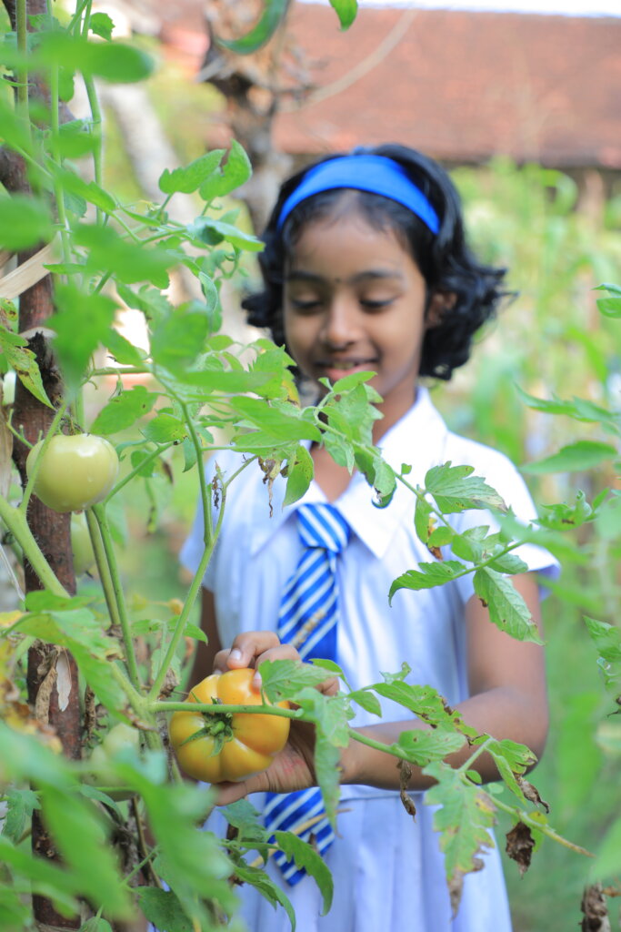 Feed Kids in Sri Lanka; Teach 15,000 to Grow Food