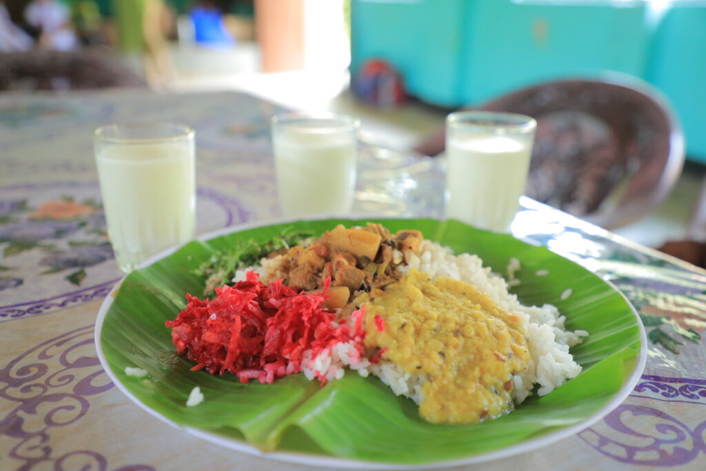 Feed Kids in Sri Lanka; Teach 15,000 to Grow Food