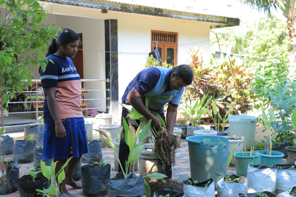 Feed Kids in Sri Lanka; Teach 15,000 to Grow Food