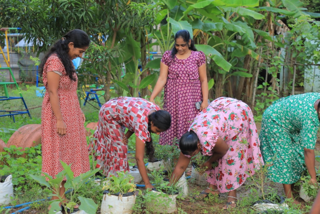 Feed Kids in Sri Lanka; Teach 15,000 to Grow Food