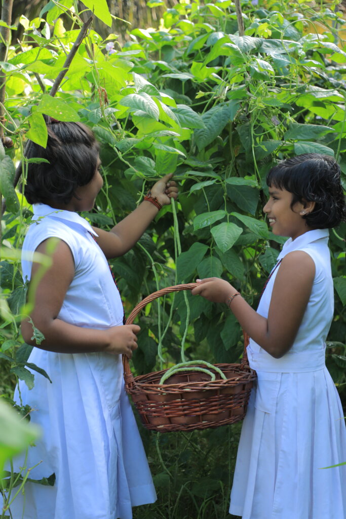 Feed Kids in Sri Lanka; Teach 15,000 to Grow Food