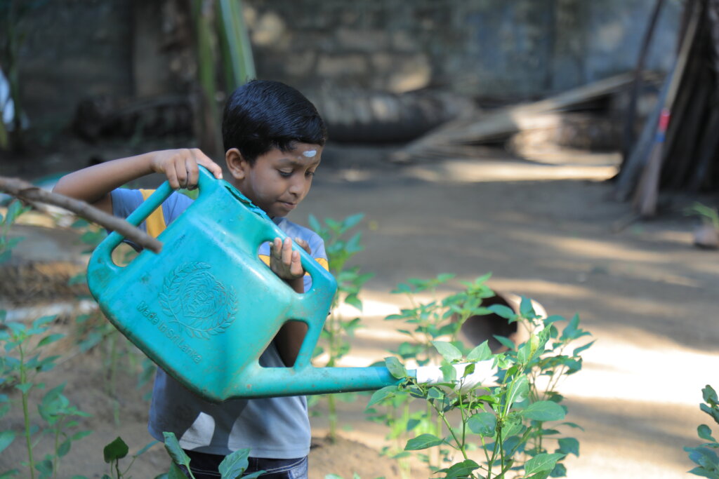 Feed Kids in Sri Lanka; Teach 15,000 to Grow Food