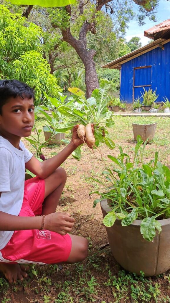 Feed Kids in Sri Lanka; Teach 15,000 to Grow Food