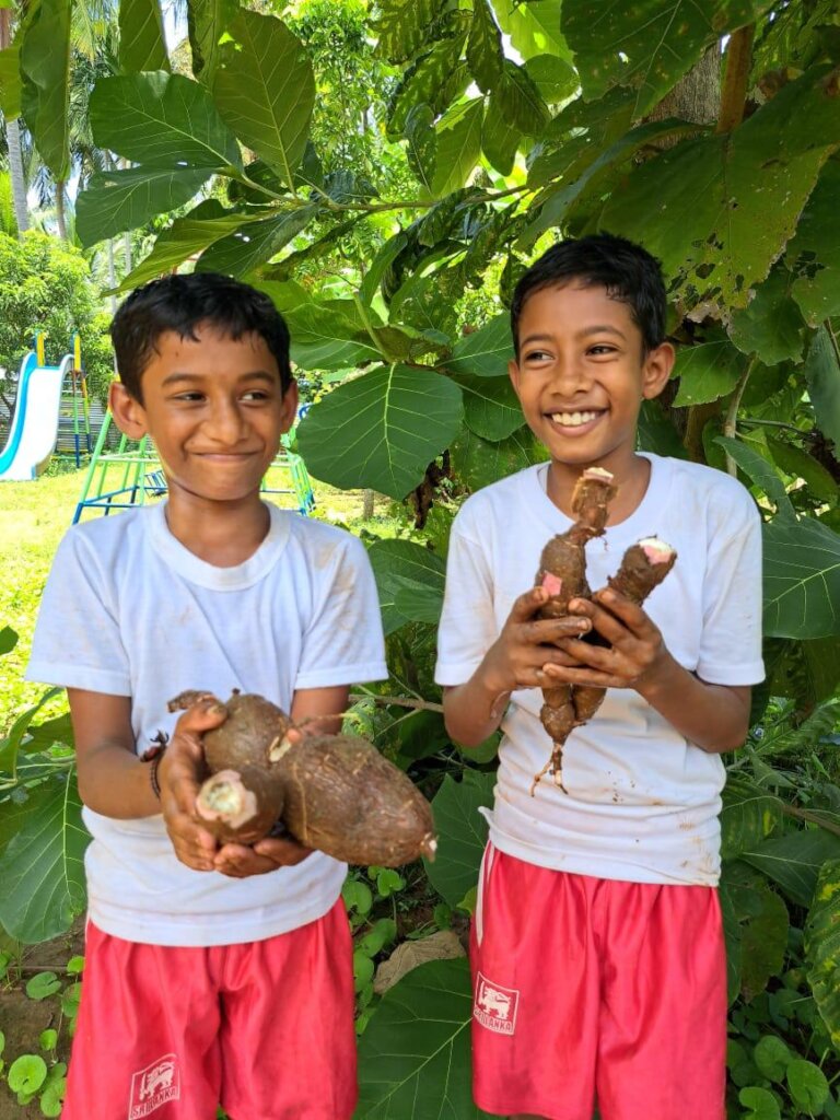 Feed Kids in Sri Lanka; Teach 15,000 to Grow Food