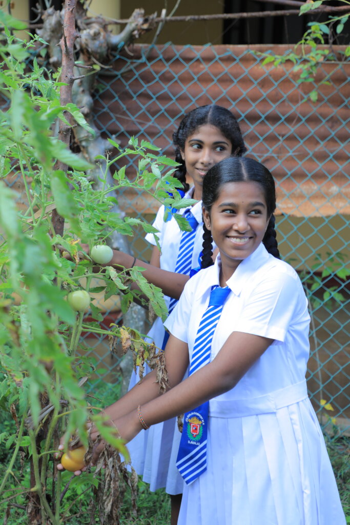 Feed Kids in Sri Lanka; Teach 15,000 to Grow Food