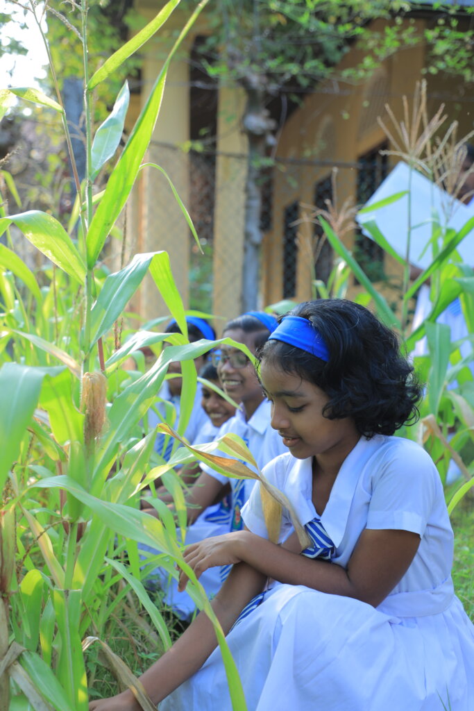 Feed Kids in Sri Lanka; Teach 15,000 to Grow Food