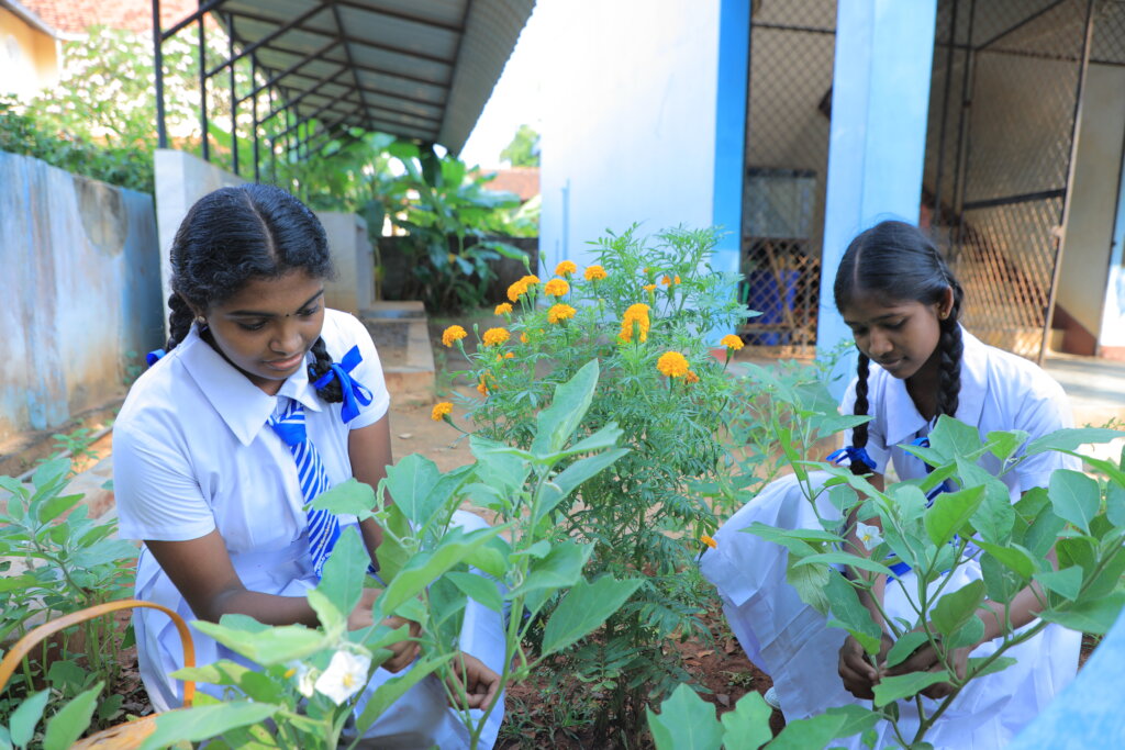 Feed Kids in Sri Lanka; Teach 15,000 to Grow Food