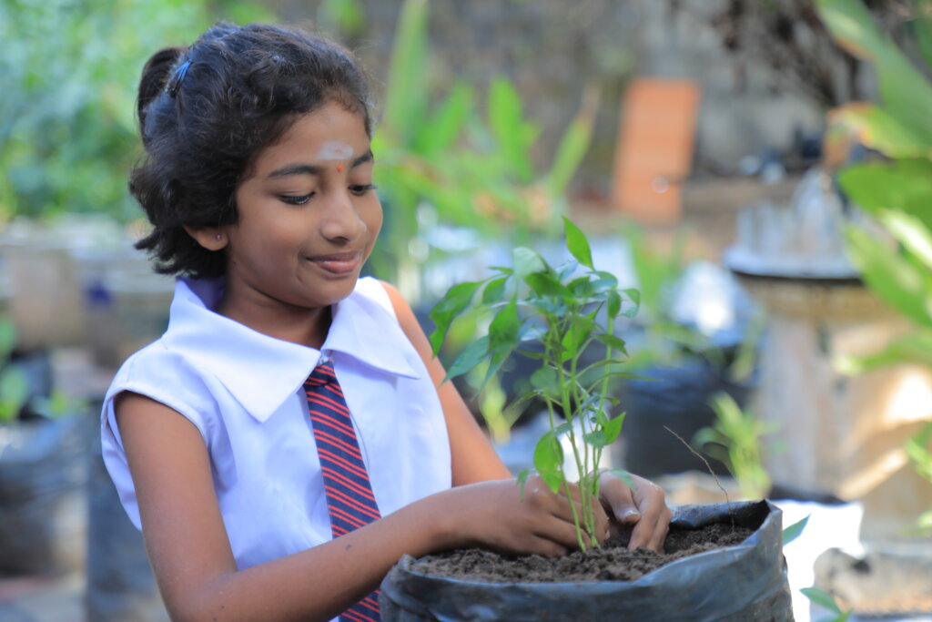 Feed Kids in Sri Lanka; Teach 15,000 to Grow Food