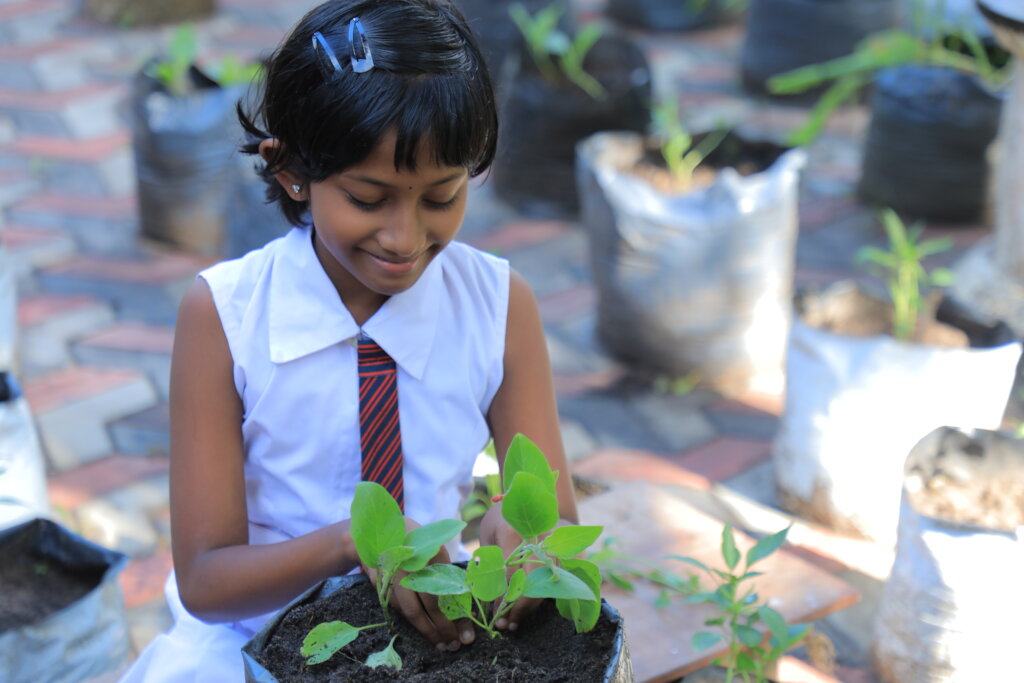 Feed Kids in Sri Lanka; Teach 15,000 to Grow Food