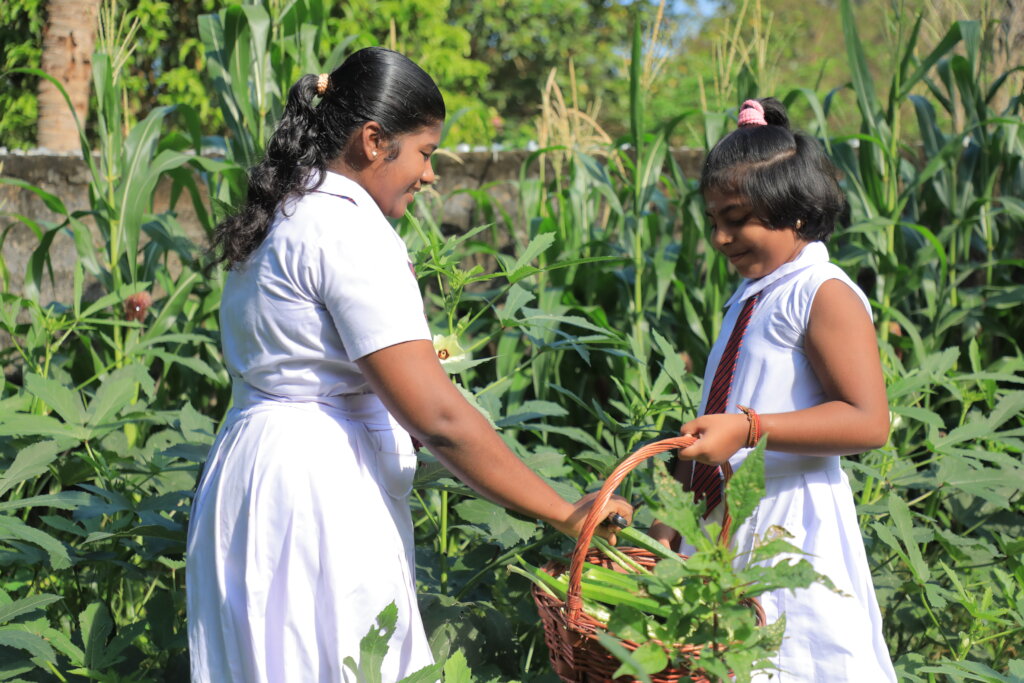 Feed Kids in Sri Lanka; Teach 15,000 to Grow Food