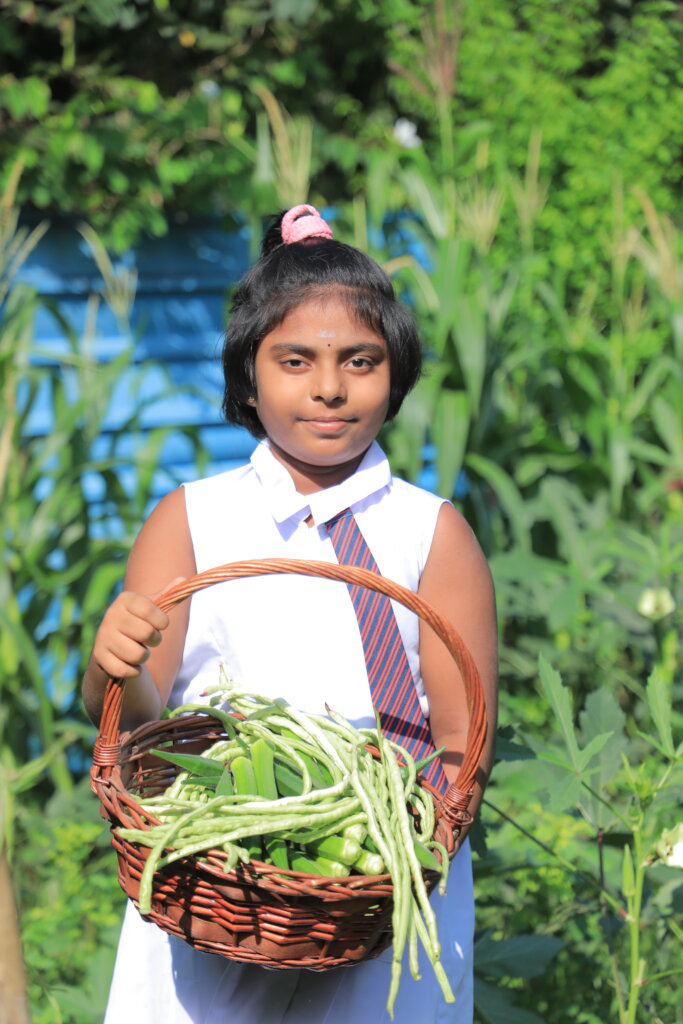 Feed Kids in Sri Lanka; Teach 15,000 to Grow Food