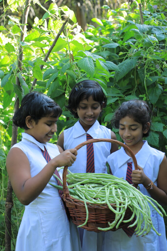 Feed Kids in Sri Lanka; Teach 15,000 to Grow Food