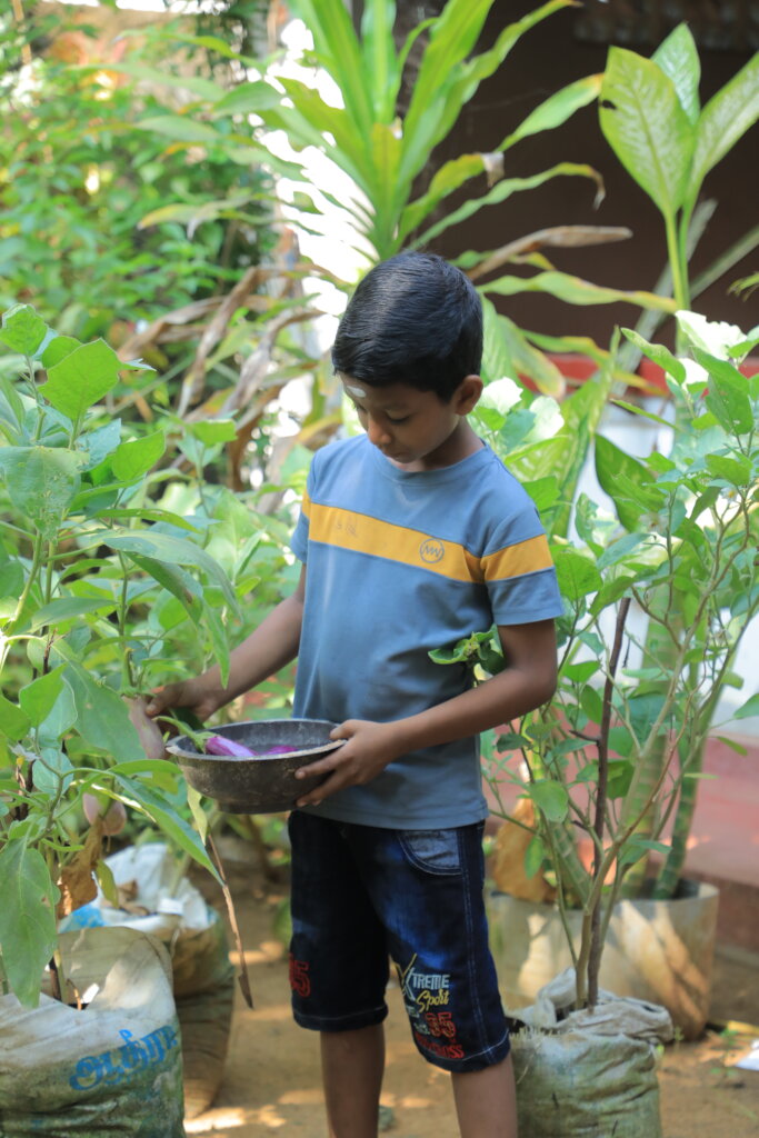 Feed Kids in Sri Lanka; Teach 15,000 to Grow Food