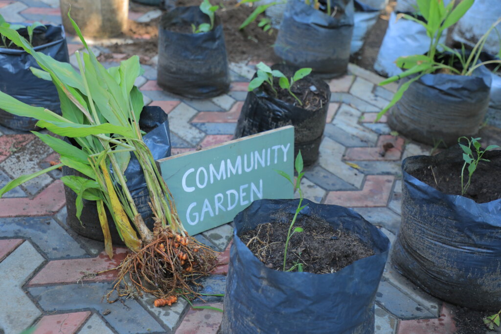 Feed Kids in Sri Lanka; Teach 15,000 to Grow Food