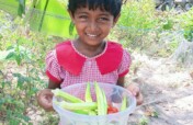 Feed Kids in Sri Lanka; Teach 15,000 to Grow Food