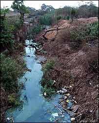 SAVE 100 LIVES FROM LEAD POISONING IN ZAMBIA