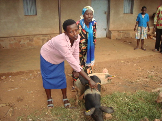Social and Economic empowerment of 200CHH and WHHs