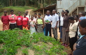 Social and Economic empowerment of 200CHH and WHHs