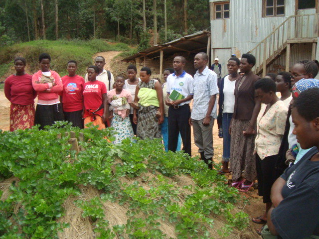 Social and Economic empowerment of 200CHH and WHHs