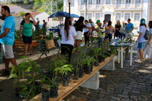 Movimento Bocaina Viva - Sapling Donation