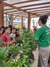 Community reforestation activities