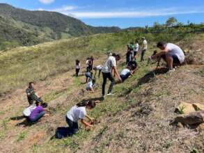 Hands-on reforestation efforts