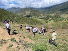 Forest restoration project in Bananal