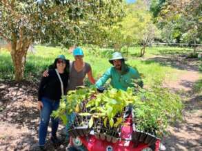 Forest restoration project in Bananal