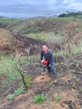 Recovery of fire affected areas - Atlantic Forest