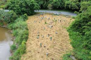 Reforestation with community and children