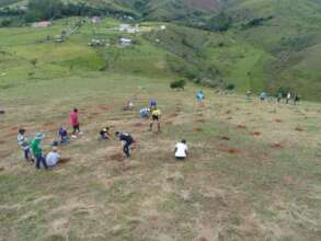 Reforestation of degraded area with community